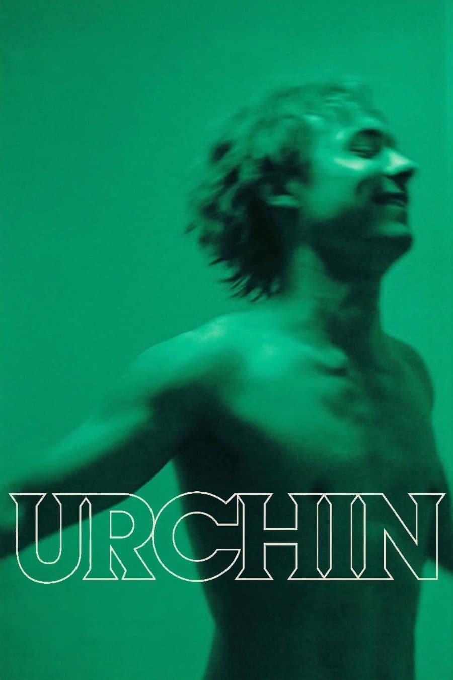 Poster Urchin