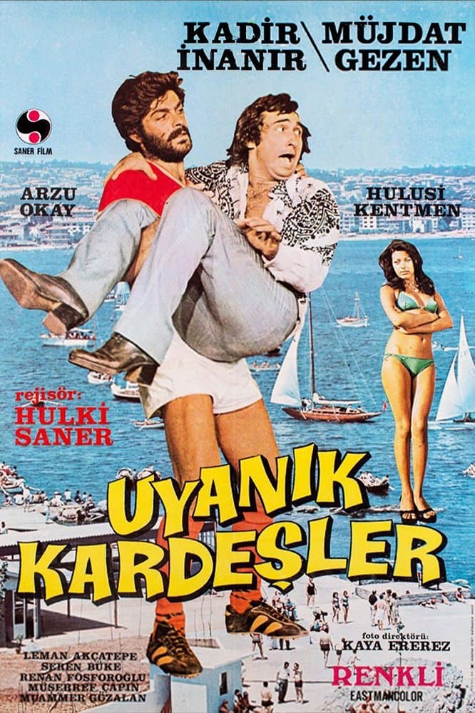 Poster Uyanık Kardeşler