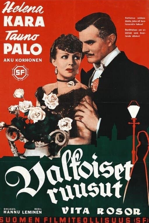 Poster Valkoiset ruusut