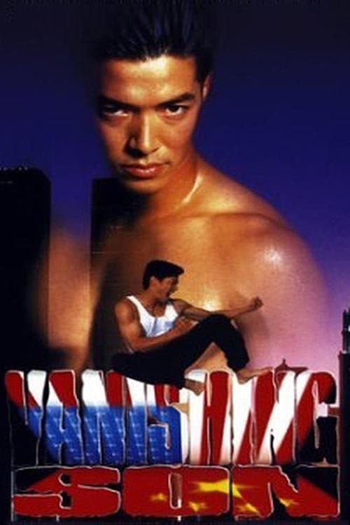 Poster Vanishing Son