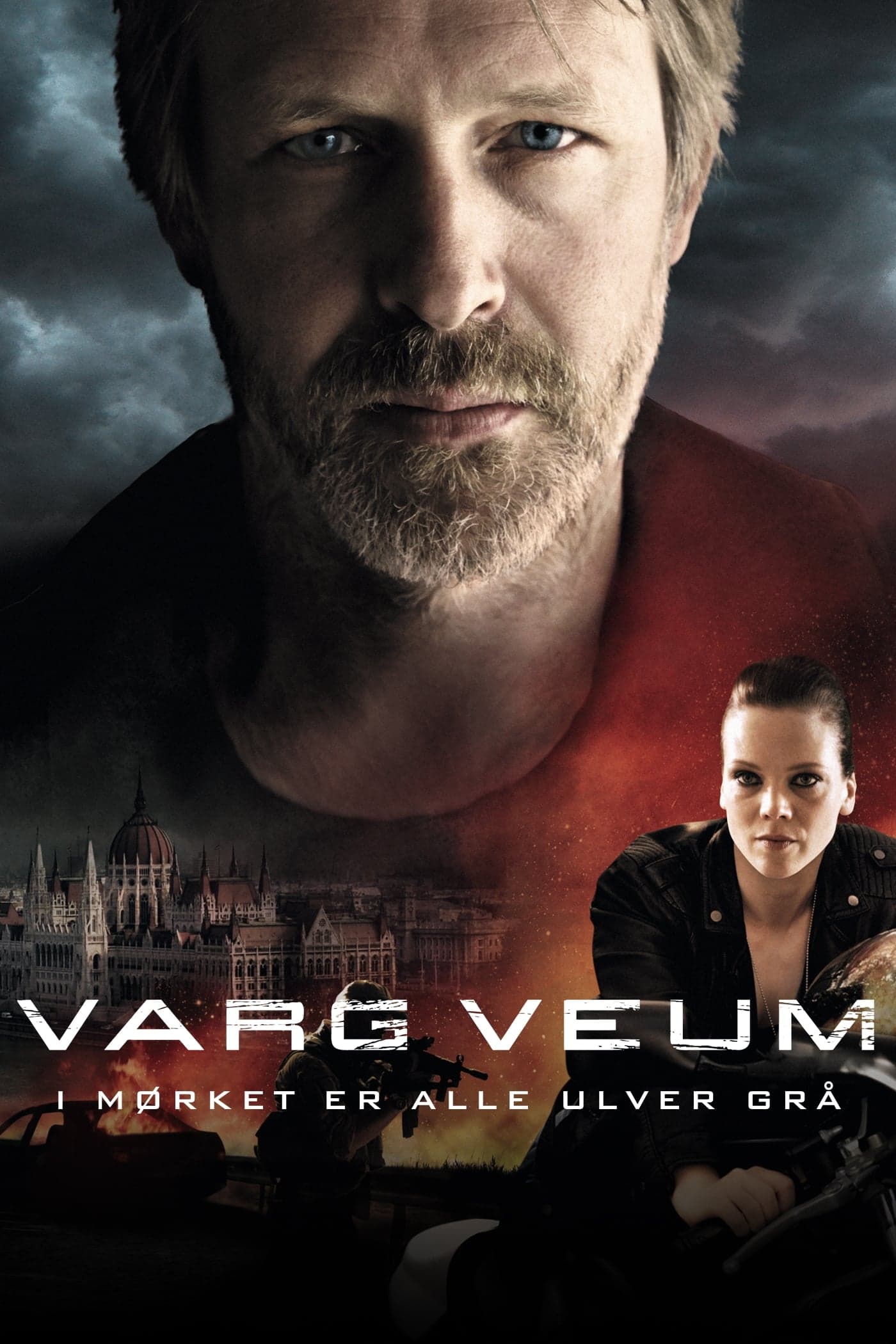 Poster Varg Veum - At Night All Wolves Are Grey