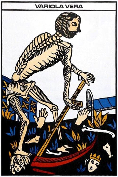 Poster Variola Vera