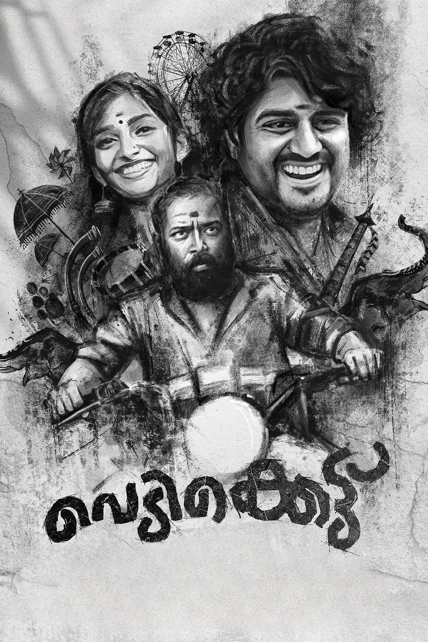 Poster Vedikkettu