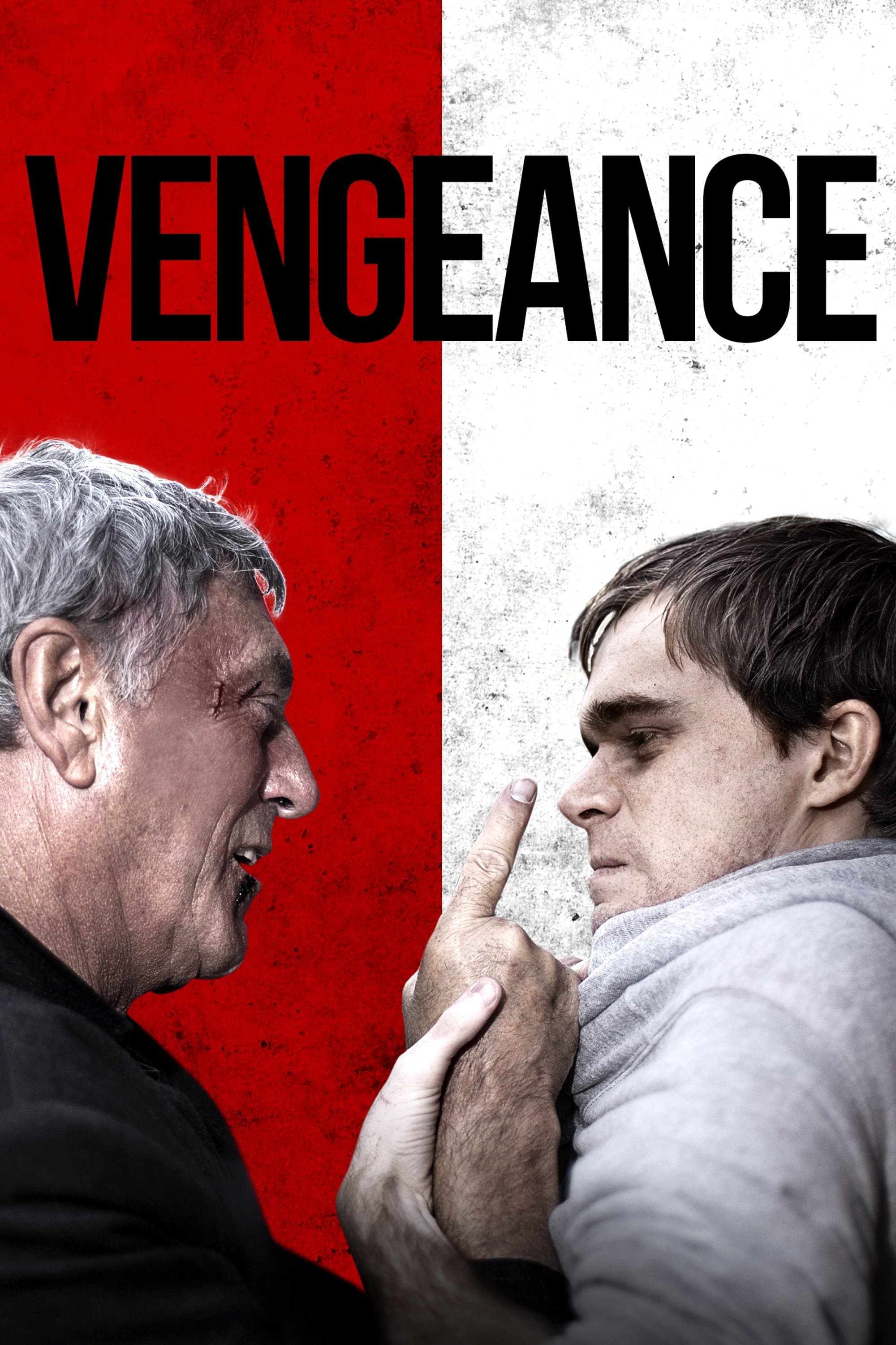 Poster Vengeance