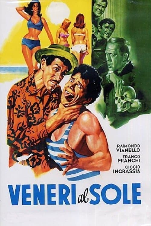 Poster Venus in the Sun