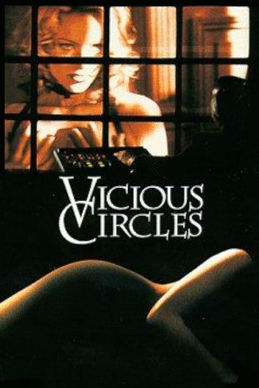 Poster Vicious Circles