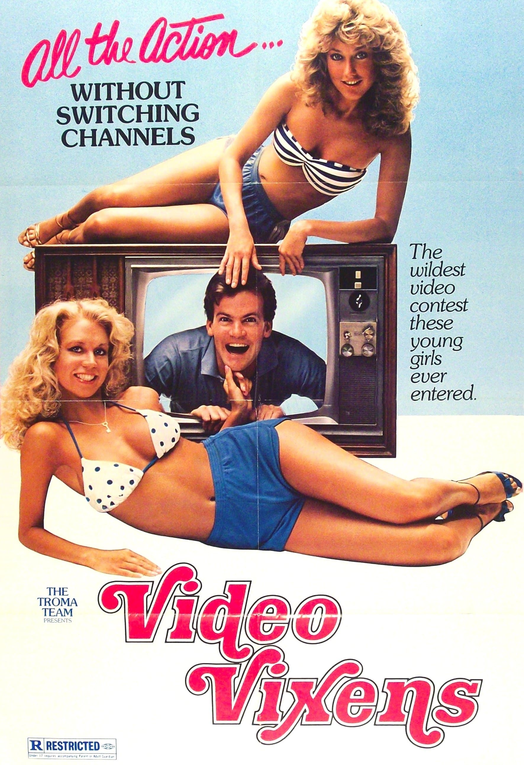 Poster Video Vixens!