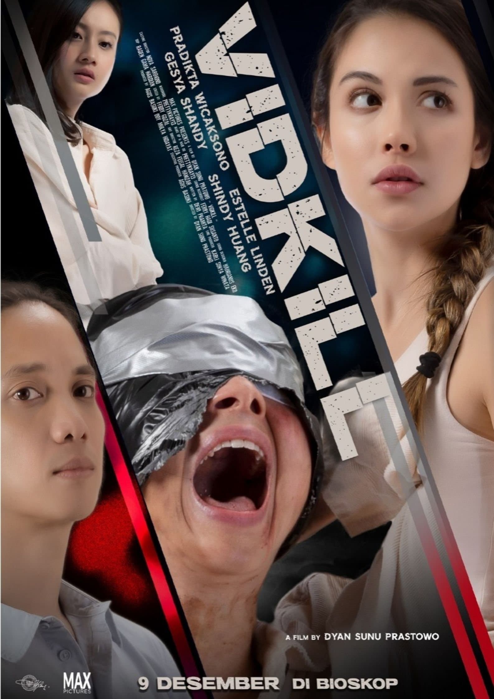 Poster Vidkill