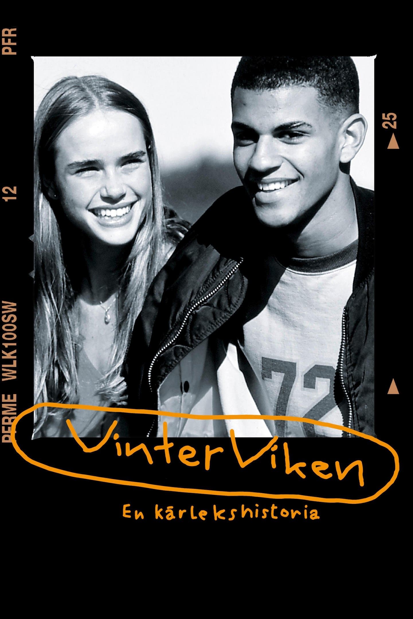 Poster Vinterviken