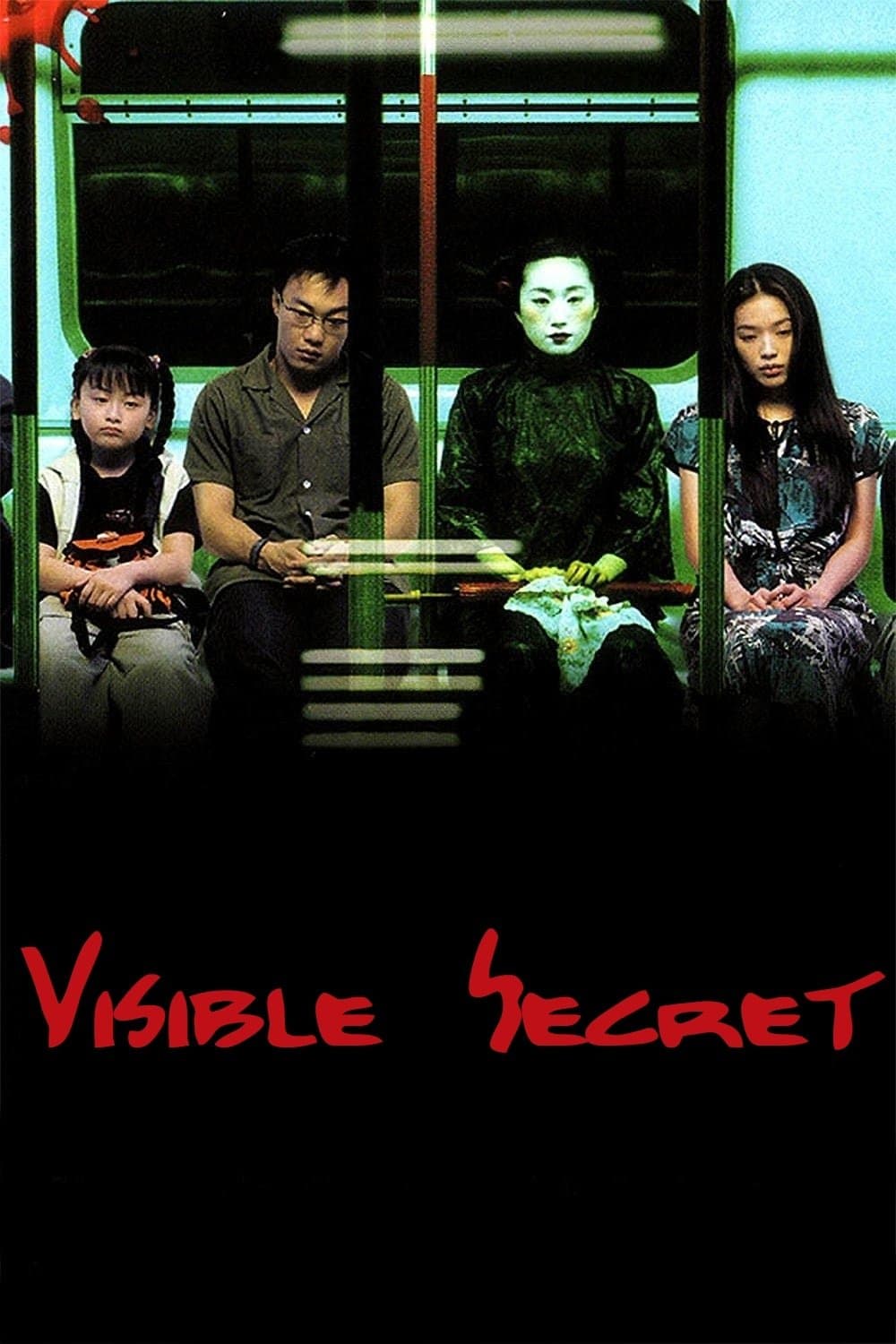 Poster Visible Secret