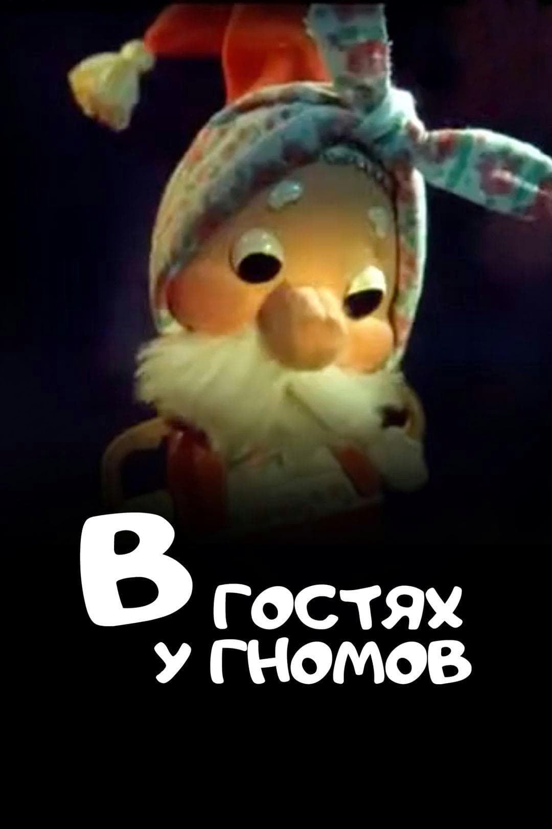 Poster Visiting the Gnomes