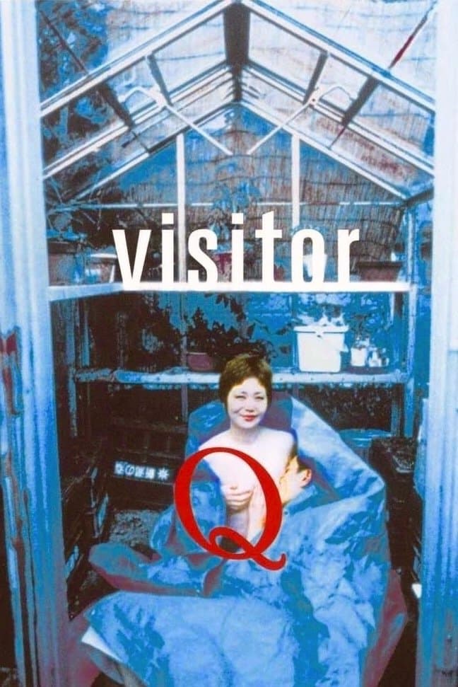 Poster Visitor Q