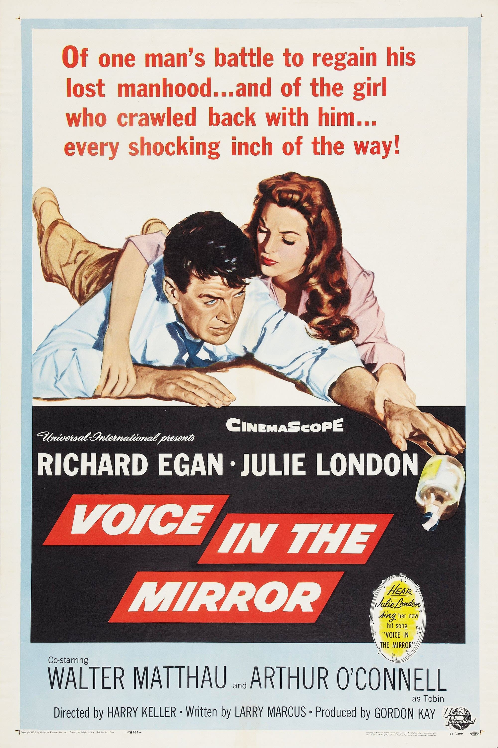 Poster Voice in the Mirror