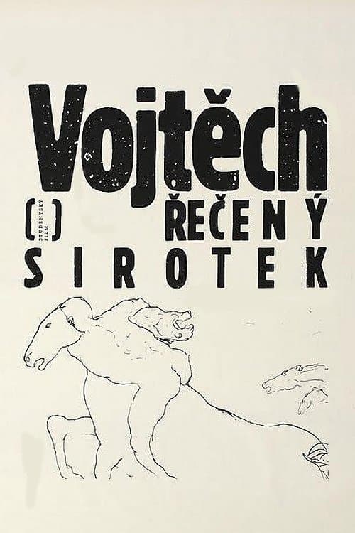 Poster Vojtech, Called the Orphan