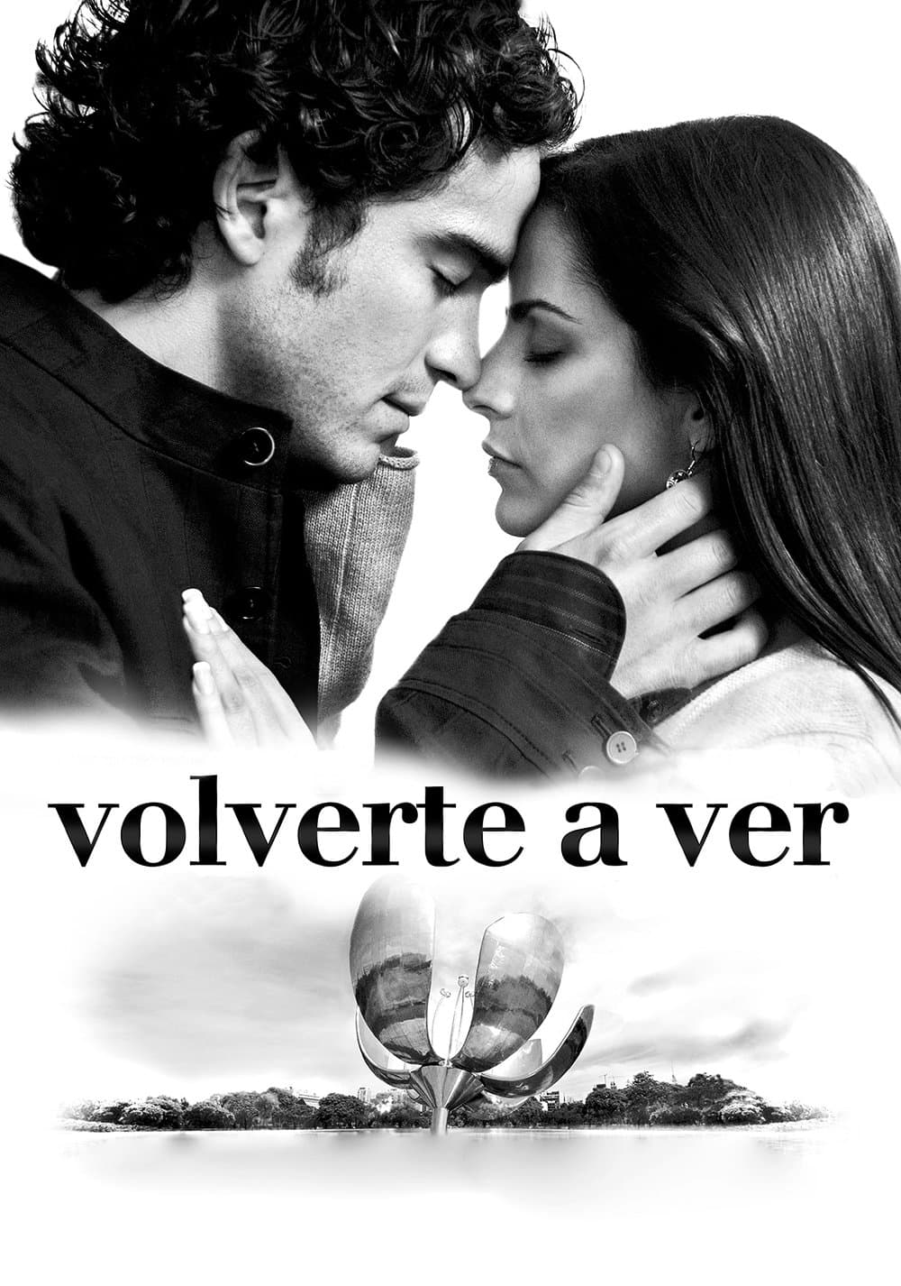 Poster Volverte a ver