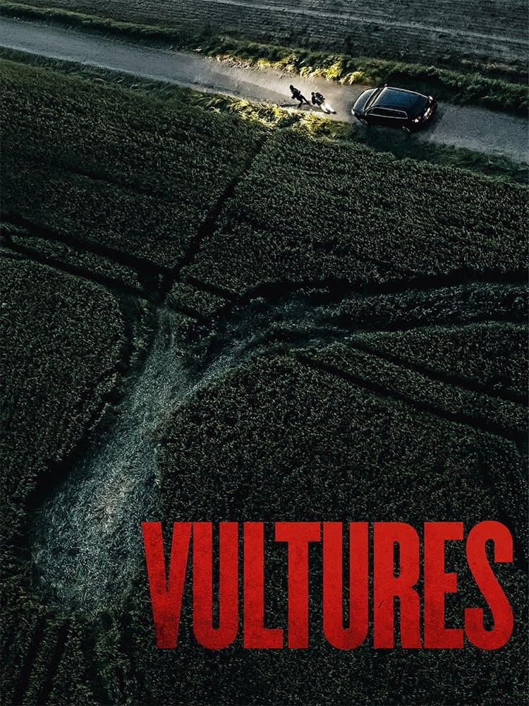Poster Vultures
