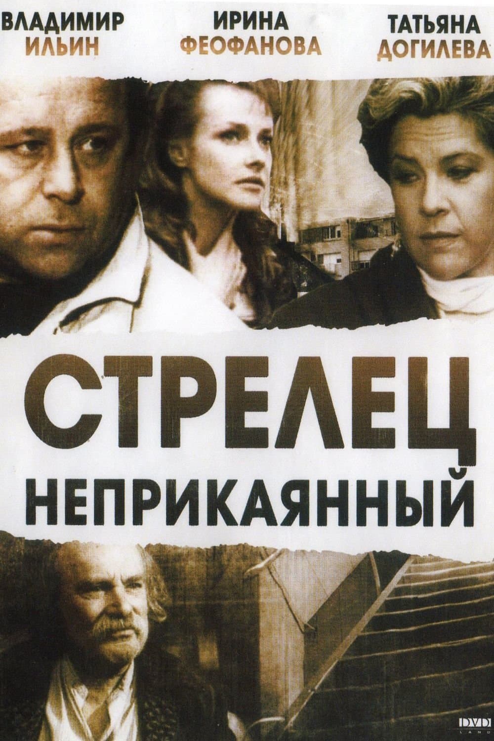 Poster Wandering Sagittarius