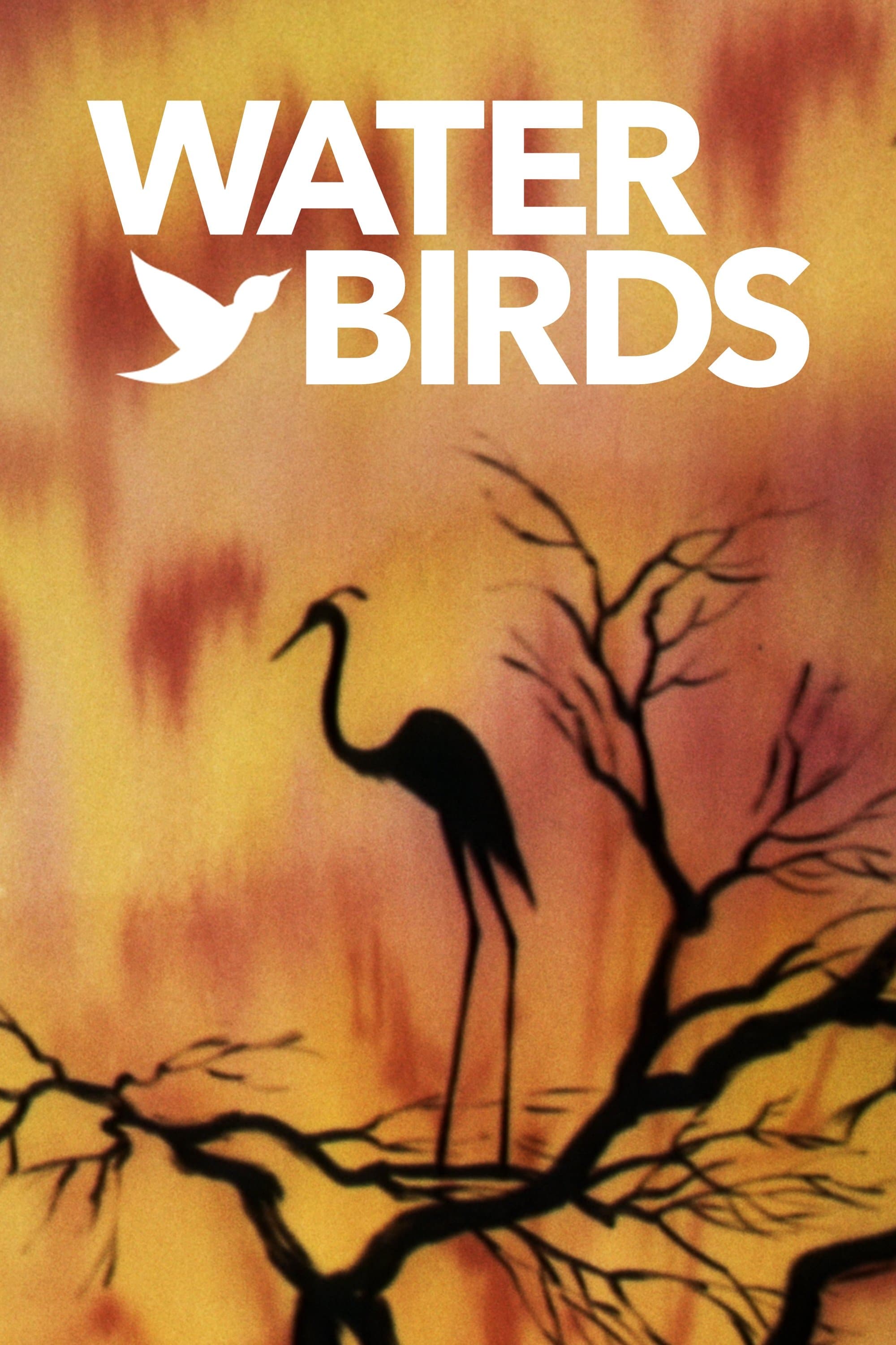 Poster Water Birds