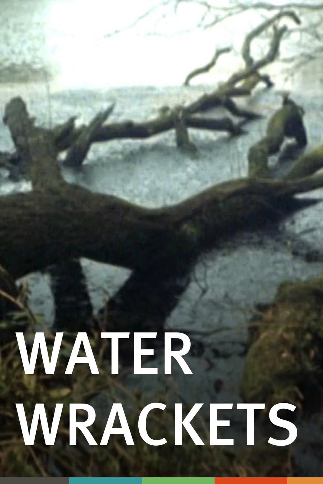 Poster Water Wrackets