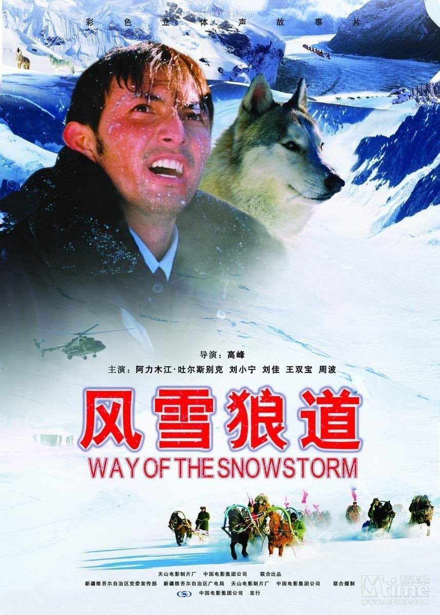Poster Way of the Snowstorm