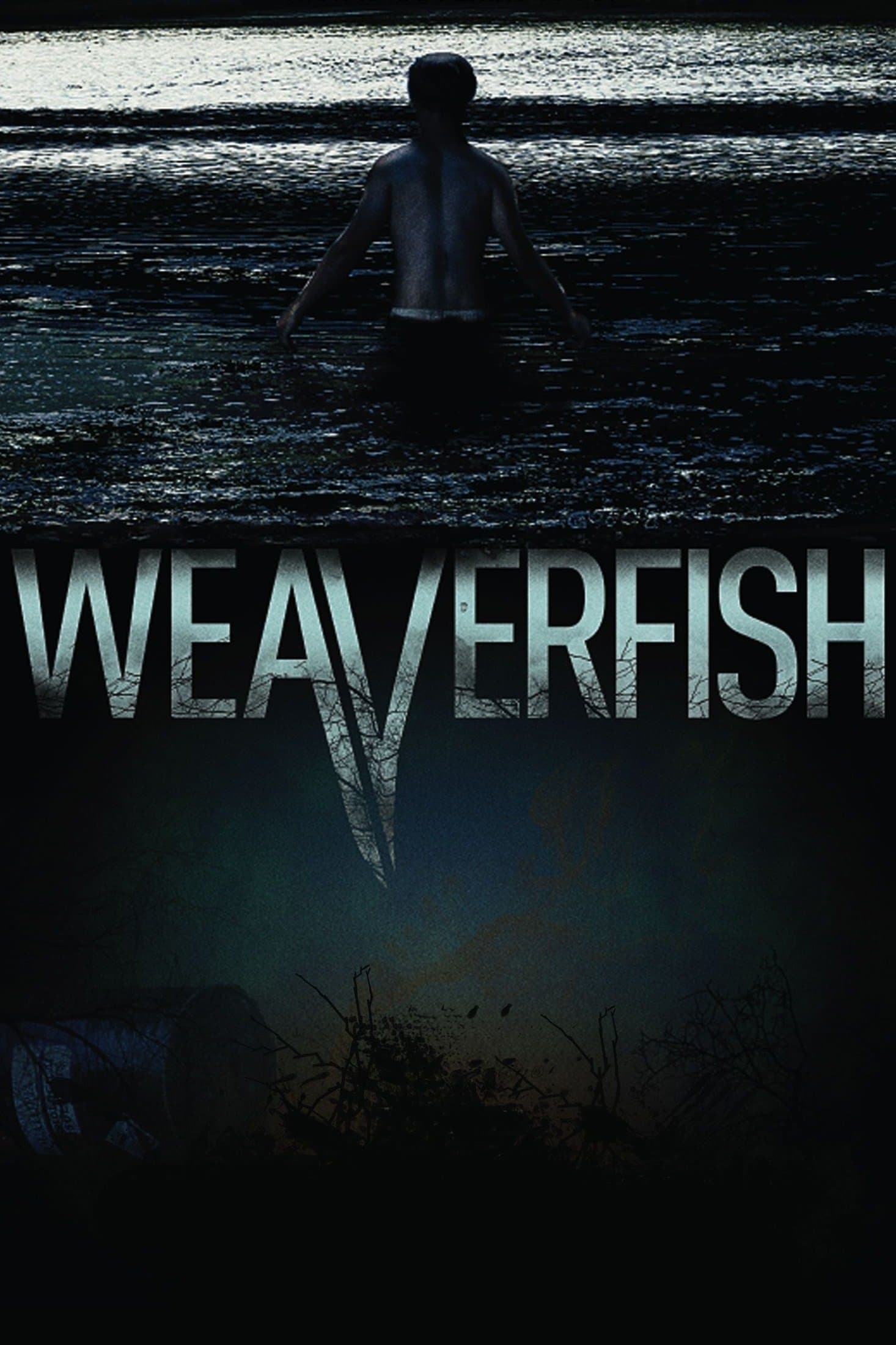 Poster Weaverfish