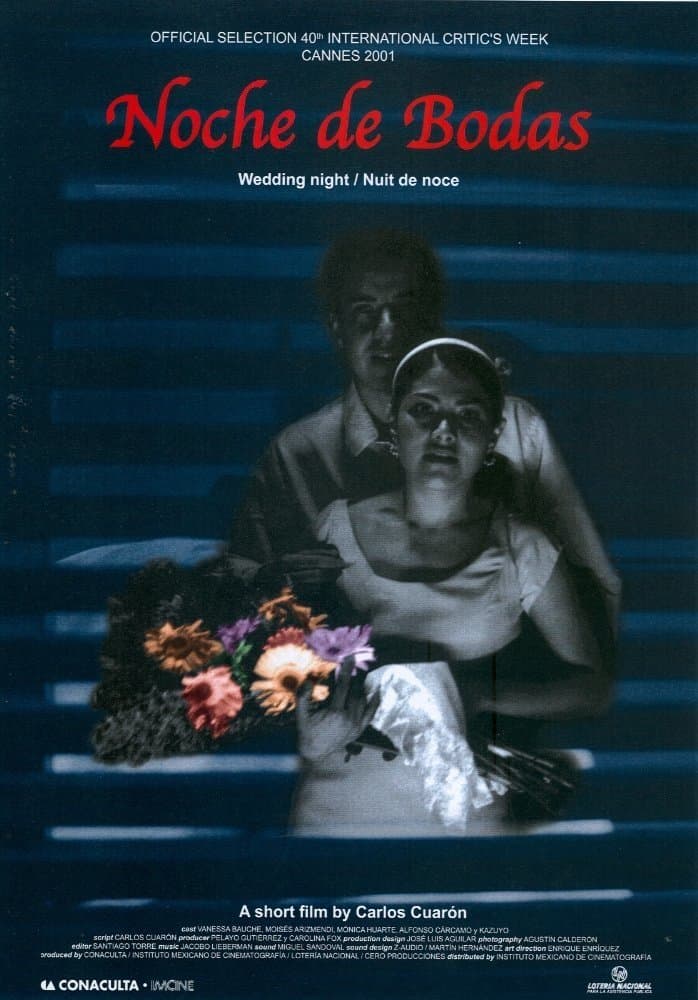 Poster Wedding Night