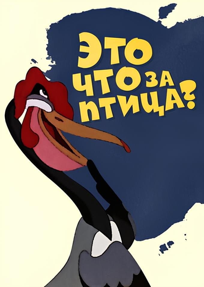 Poster What Kind of Bird Is This?