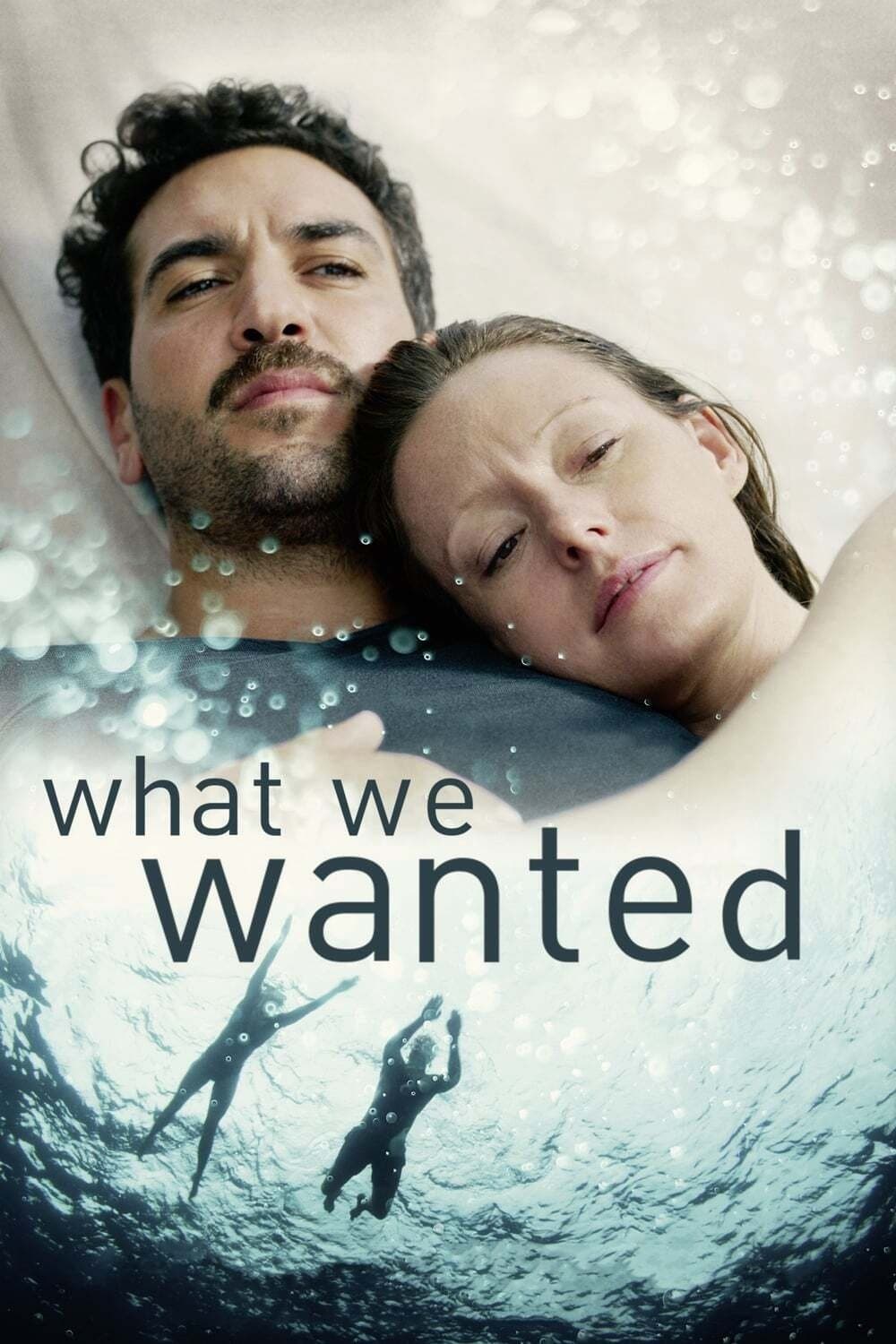 Poster What We Wanted