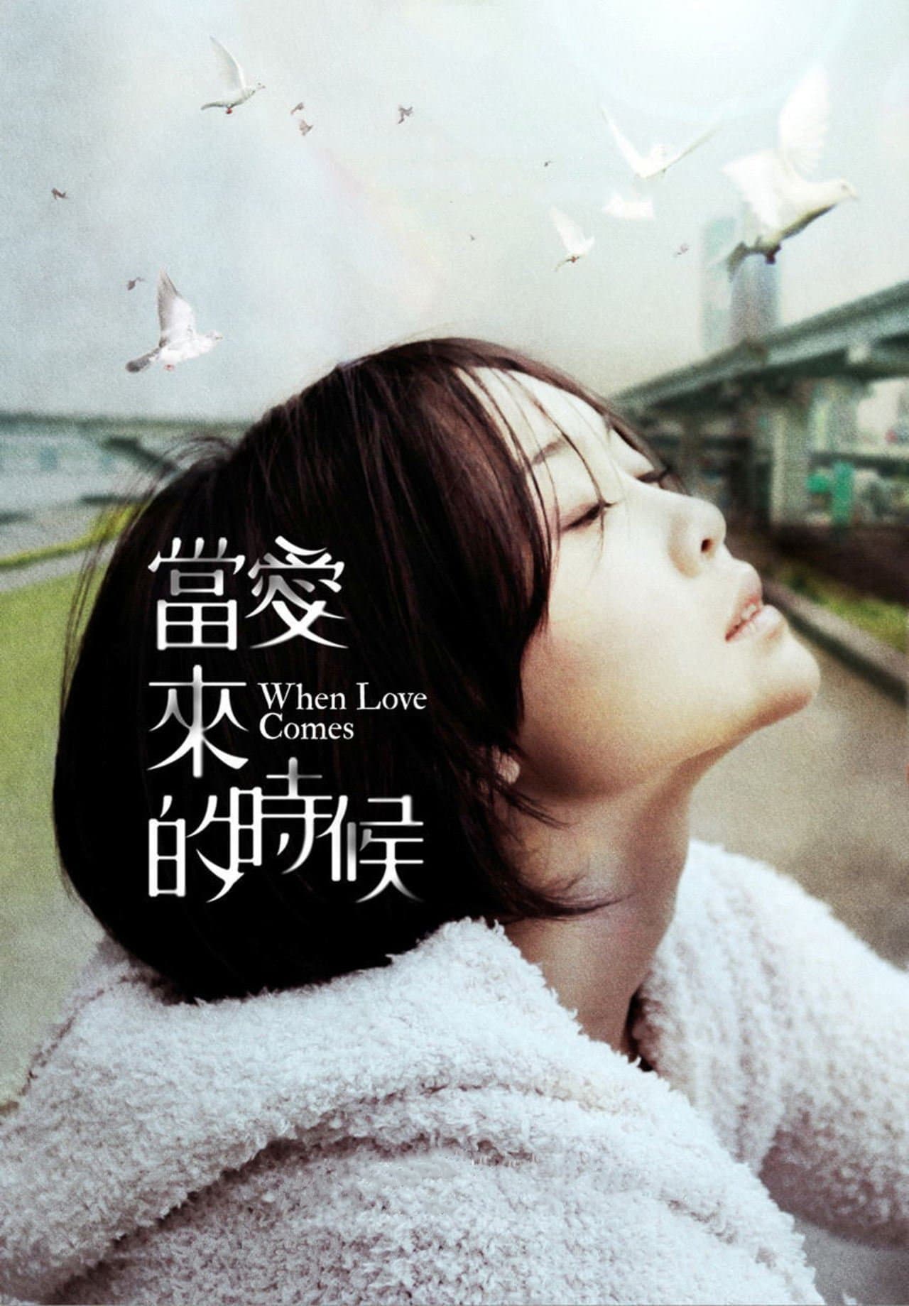 Poster When Love Comes