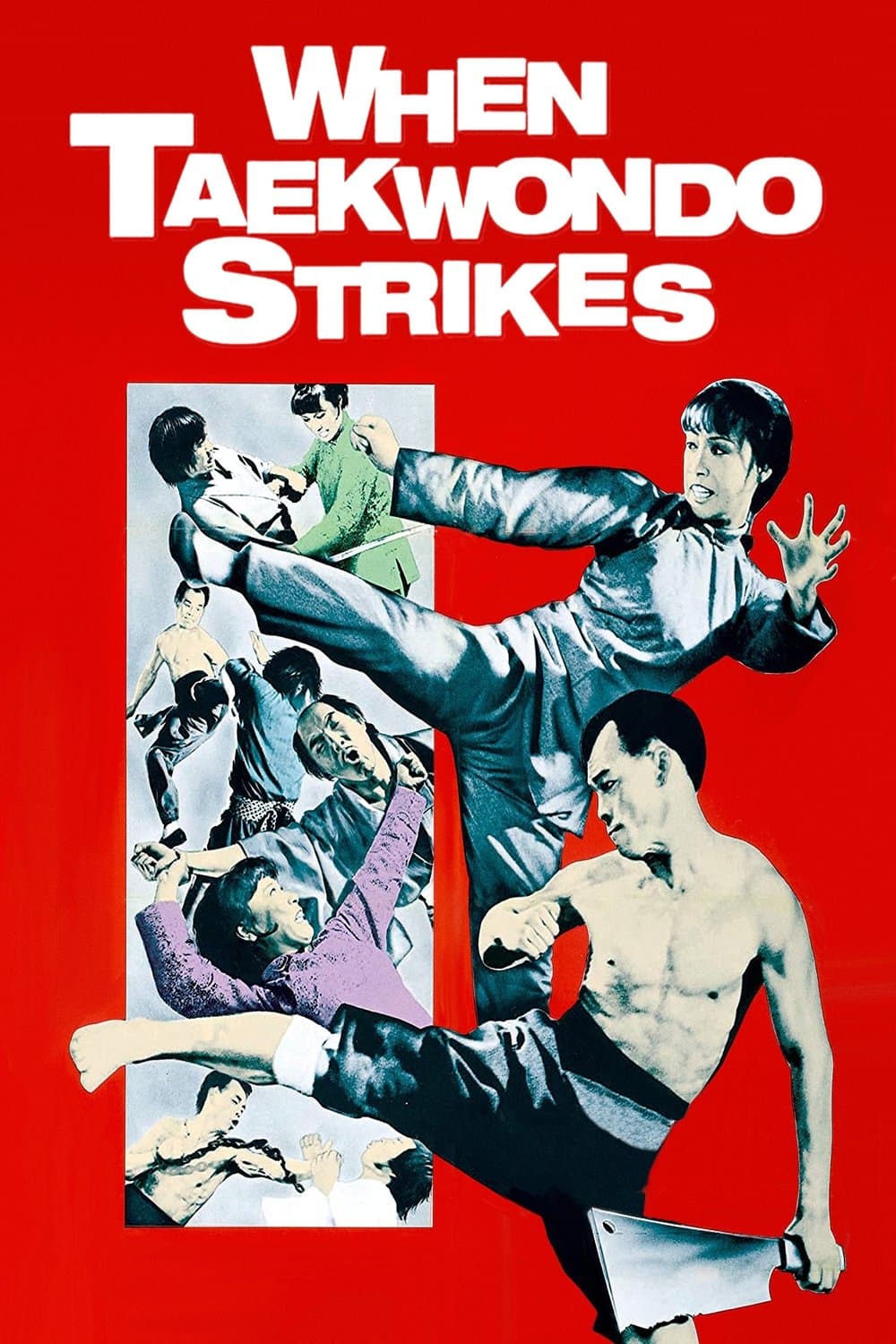 Poster When Taekwondo Strikes