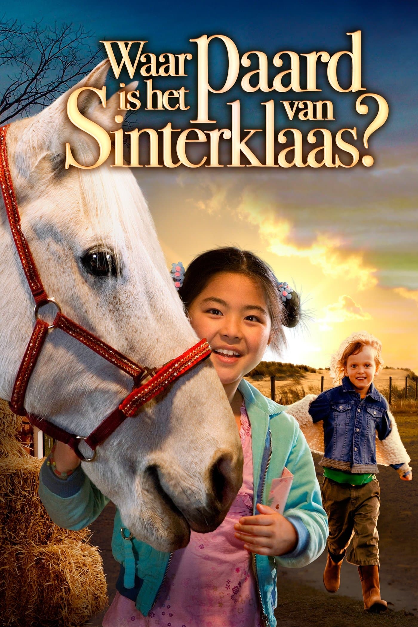 Poster Where Is Winky's Horse?
