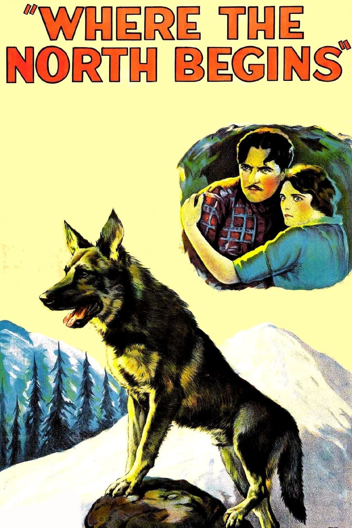 Poster Where the North Begins