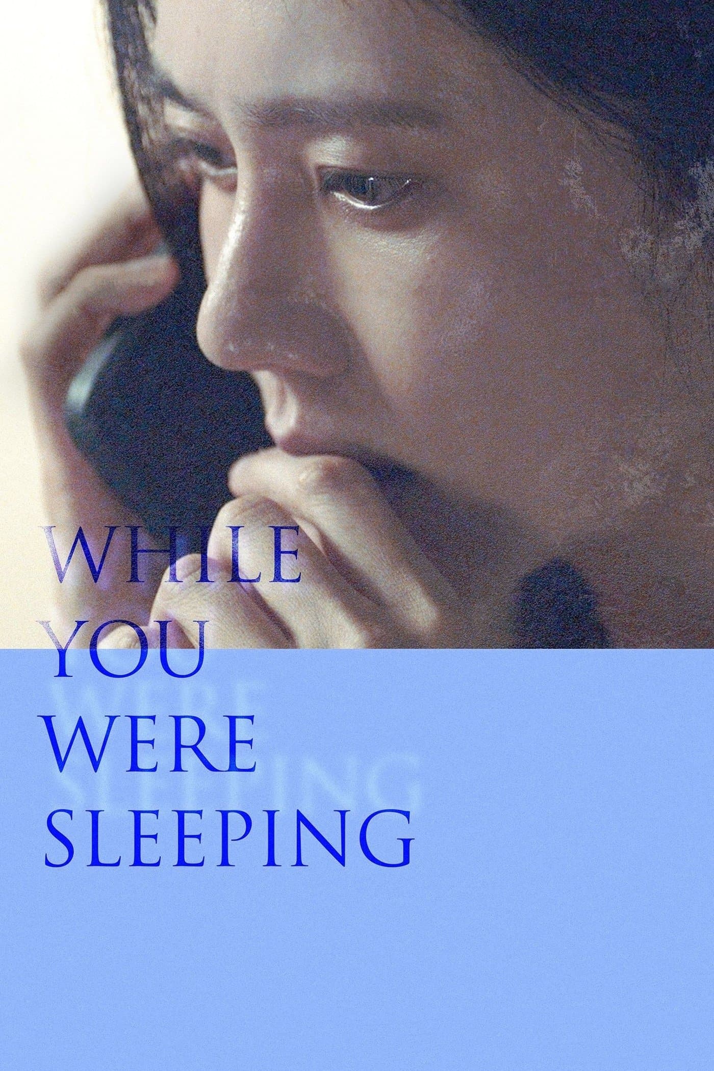 Poster While You Were Sleeping