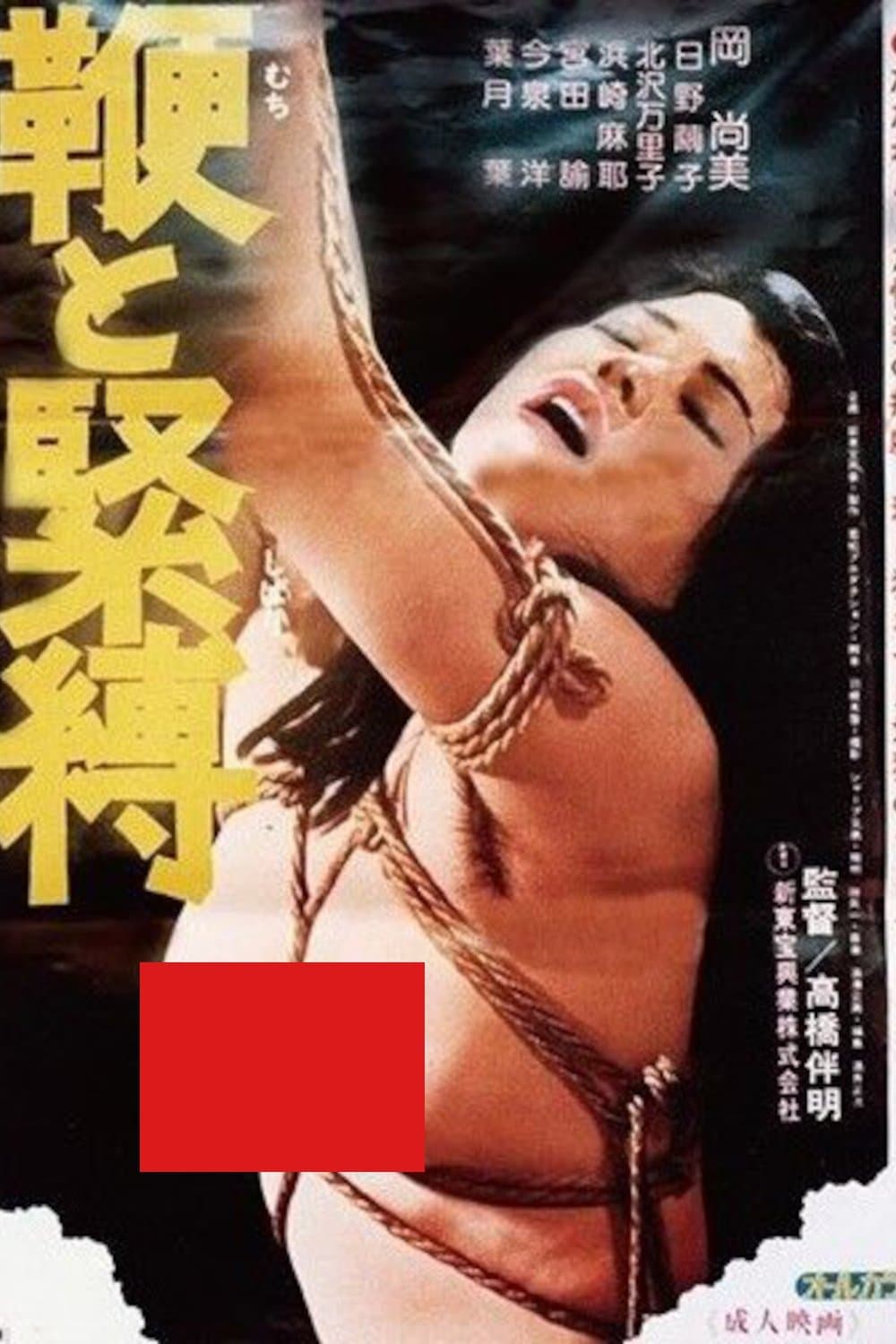 Poster Whip and Bondage