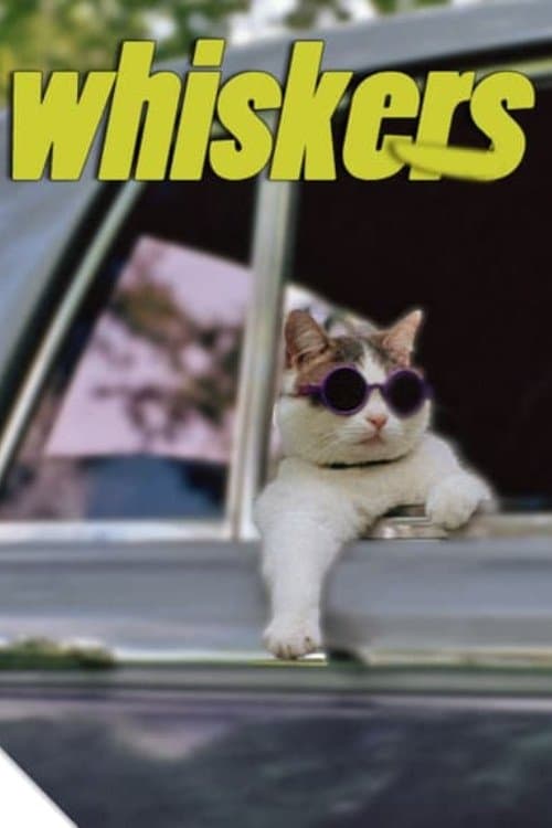 Poster Whiskers