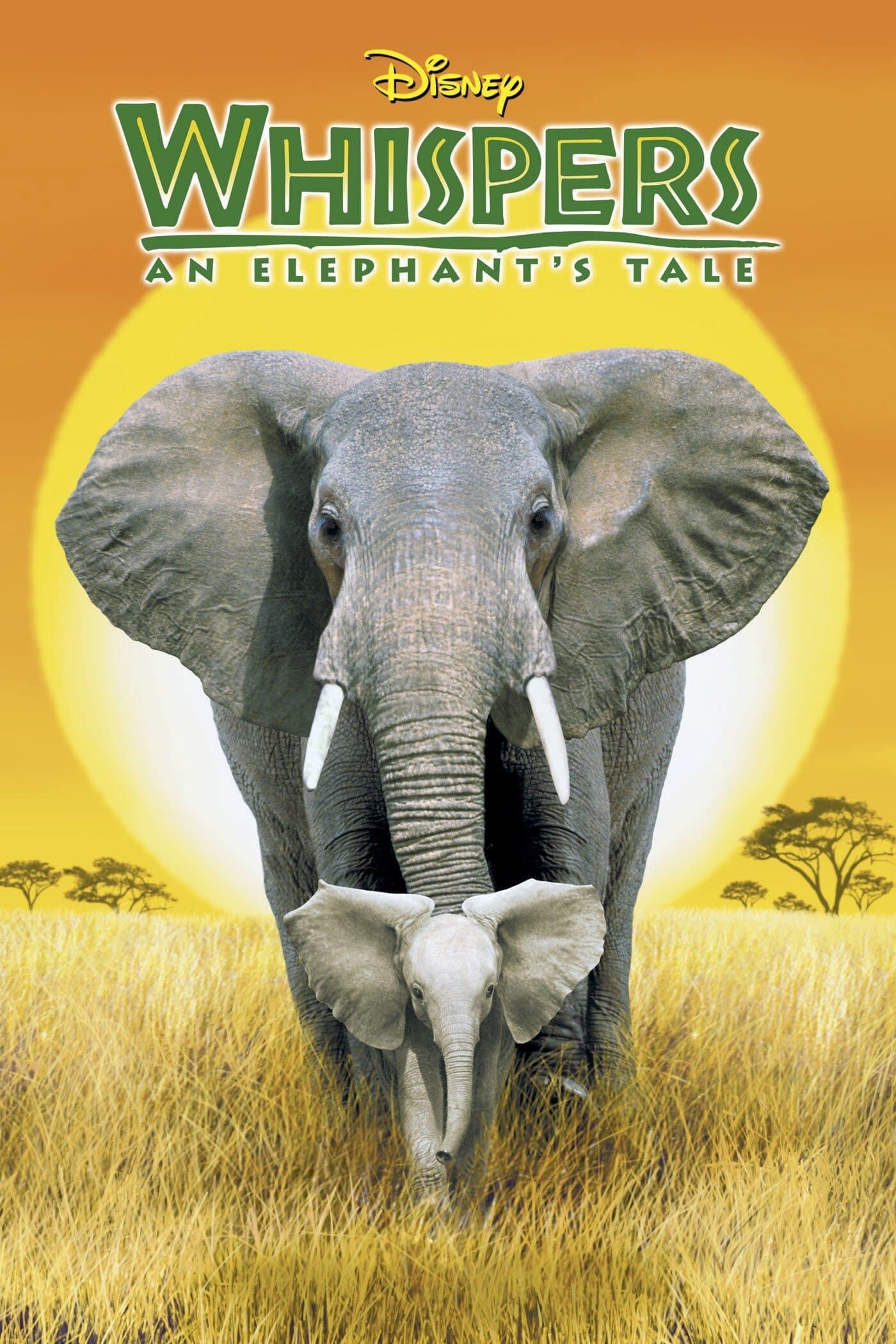 Poster Whispers: An Elephant's Tale