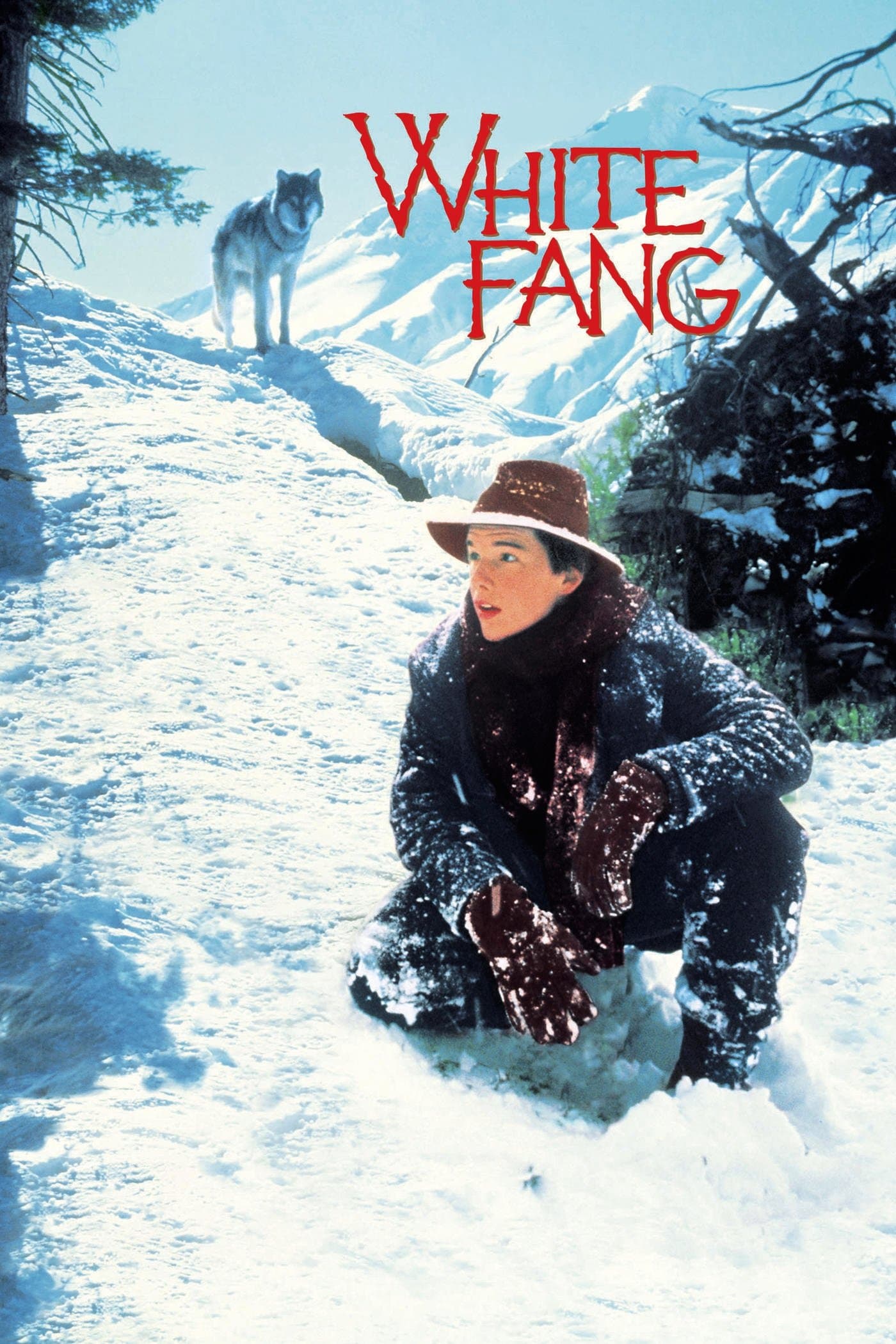 Poster White Fang