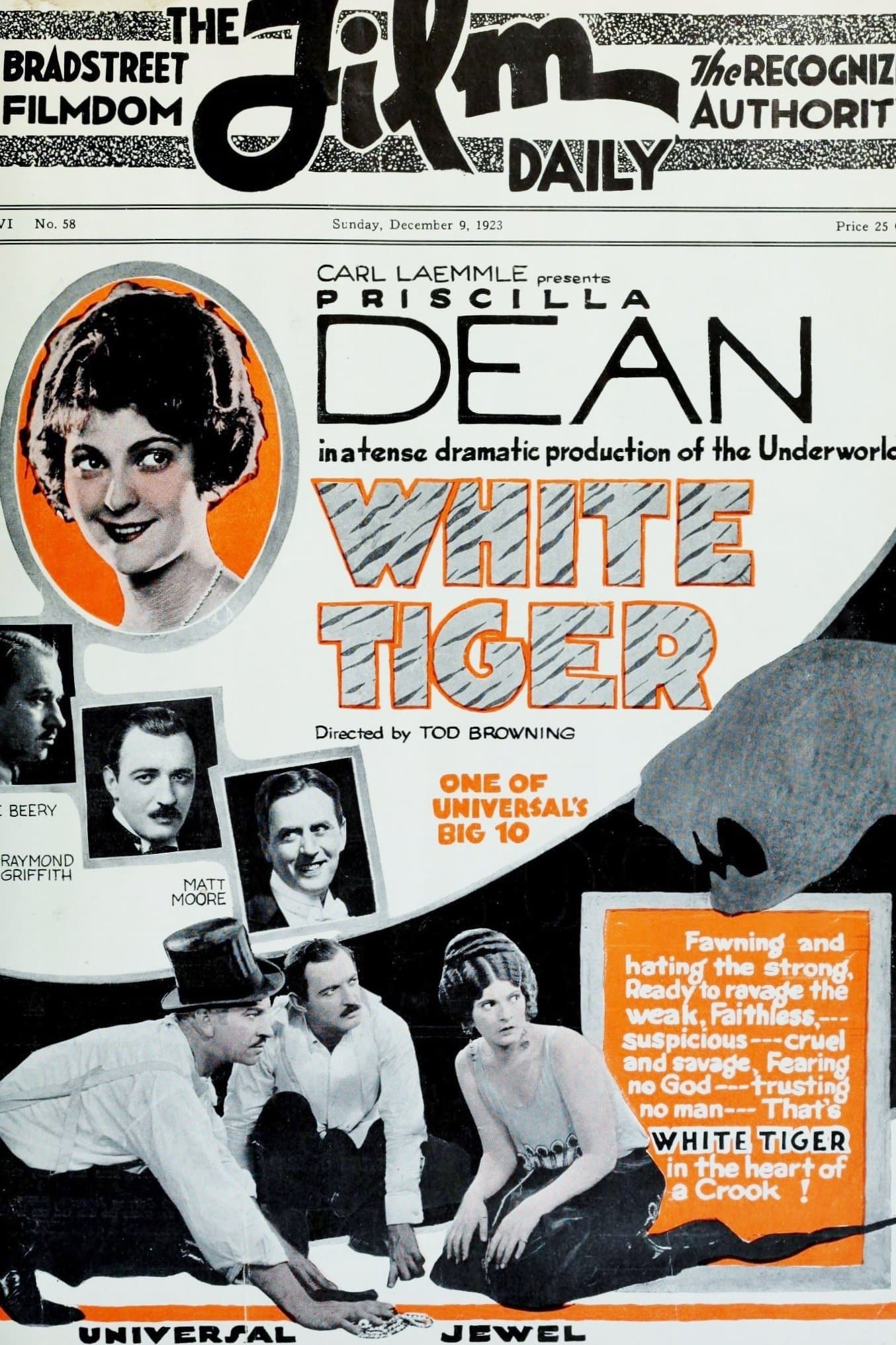 Poster White Tiger