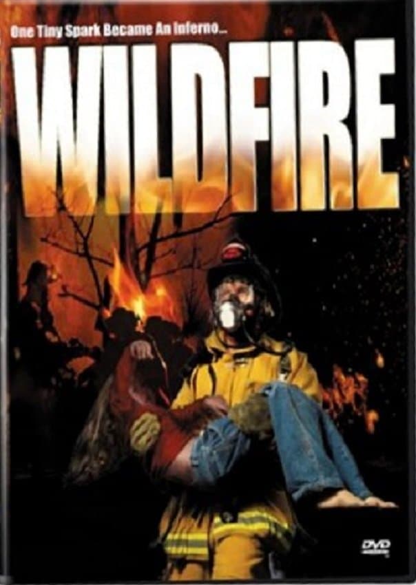 Poster Wild Fire
