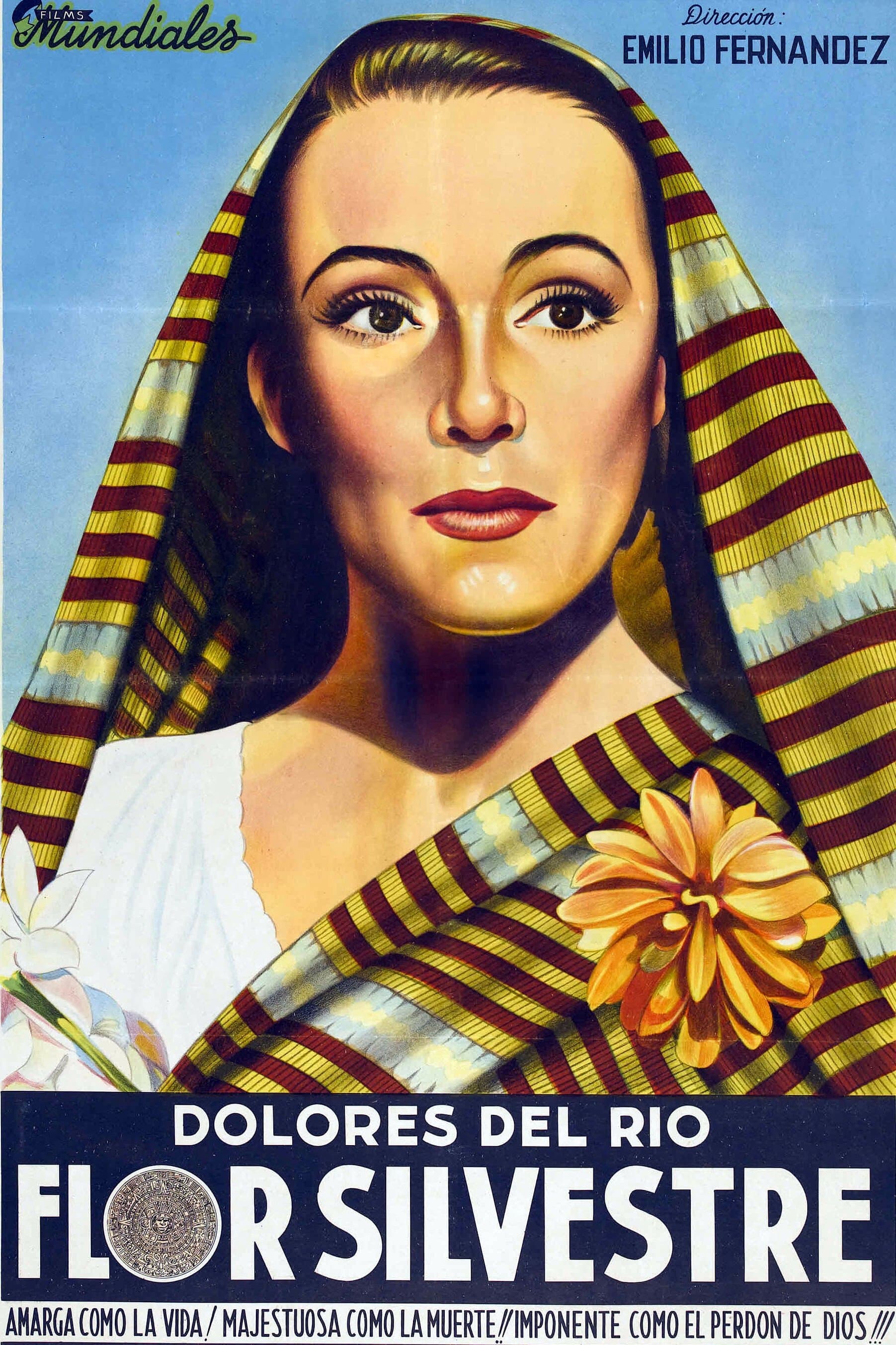 Poster Wild Flower