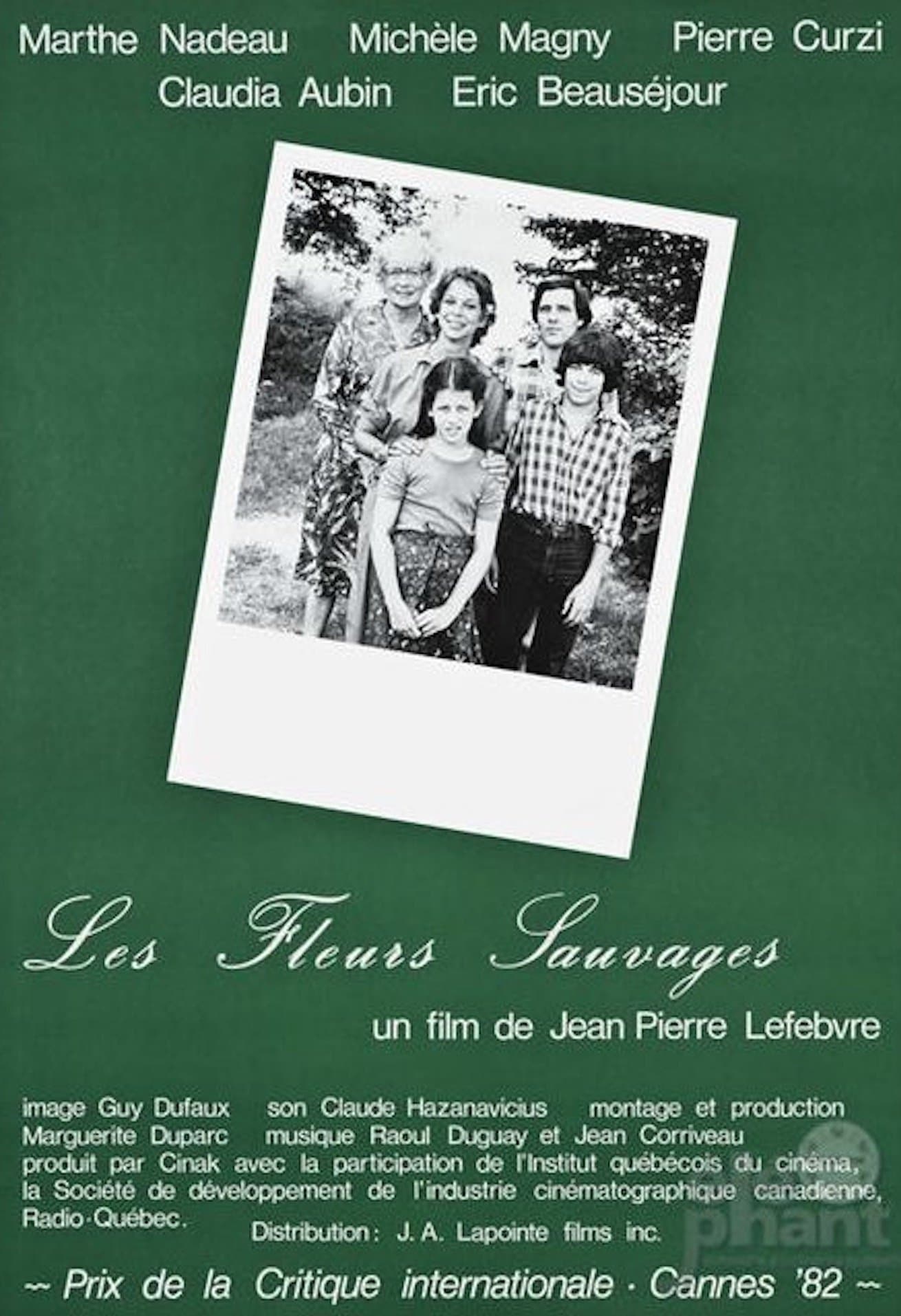 Poster Wild Flowers