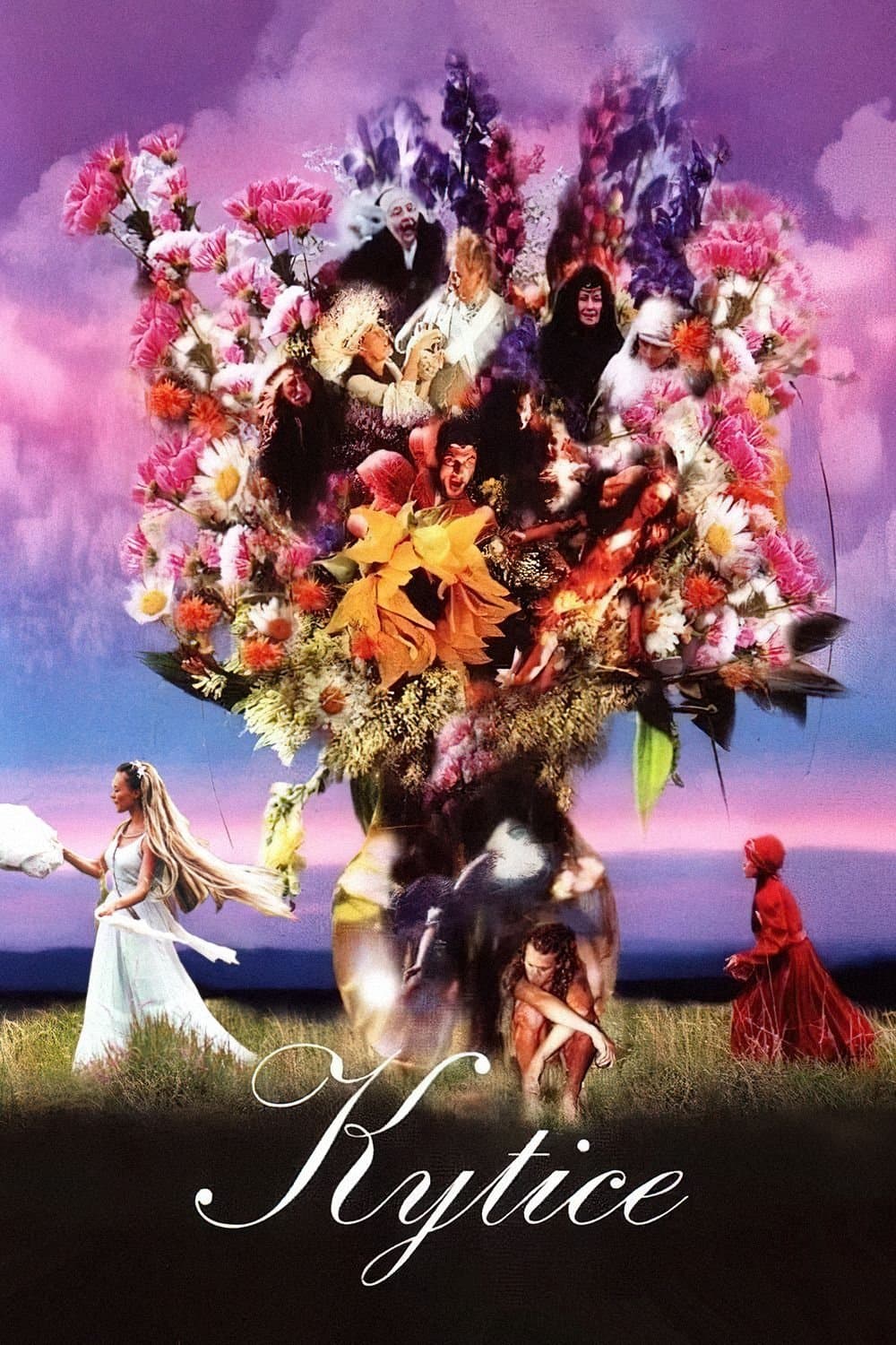 Poster Wild Flowers