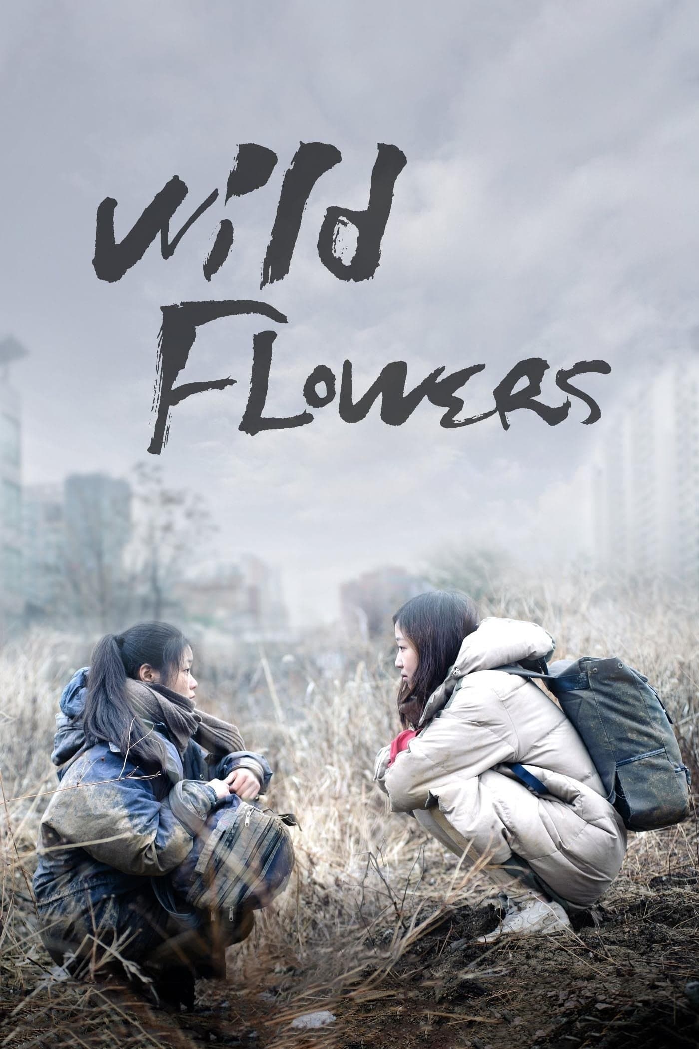 Poster Wild Flowers