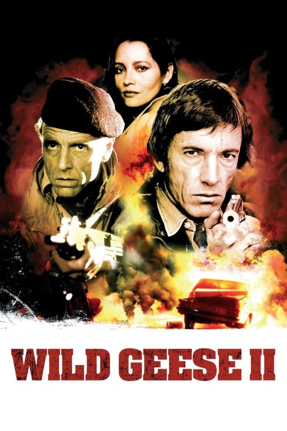 Poster Wild Geese II
