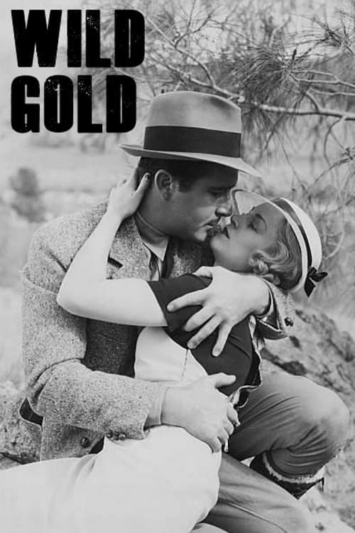 Poster Wild Gold