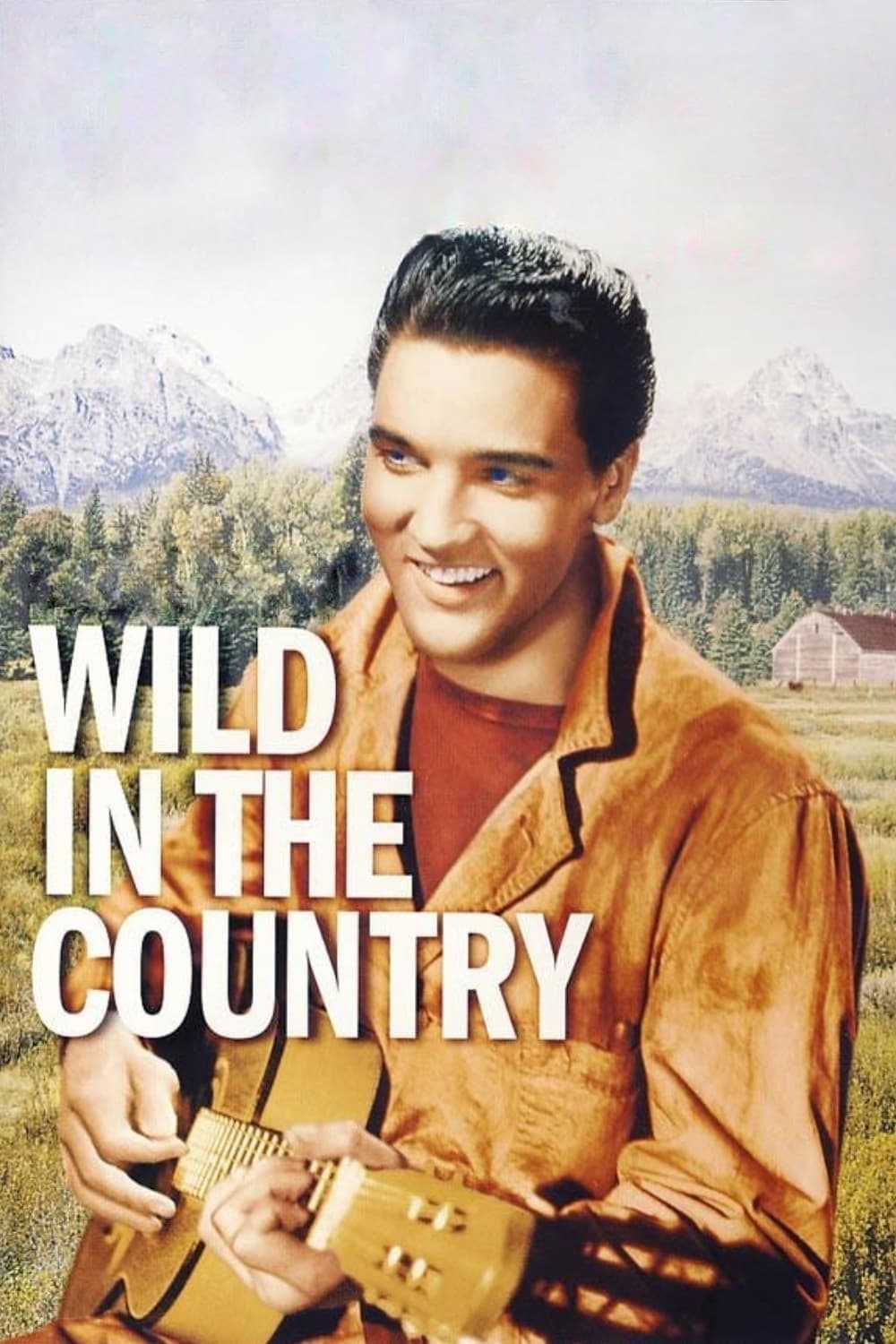 Poster Wild in the Country