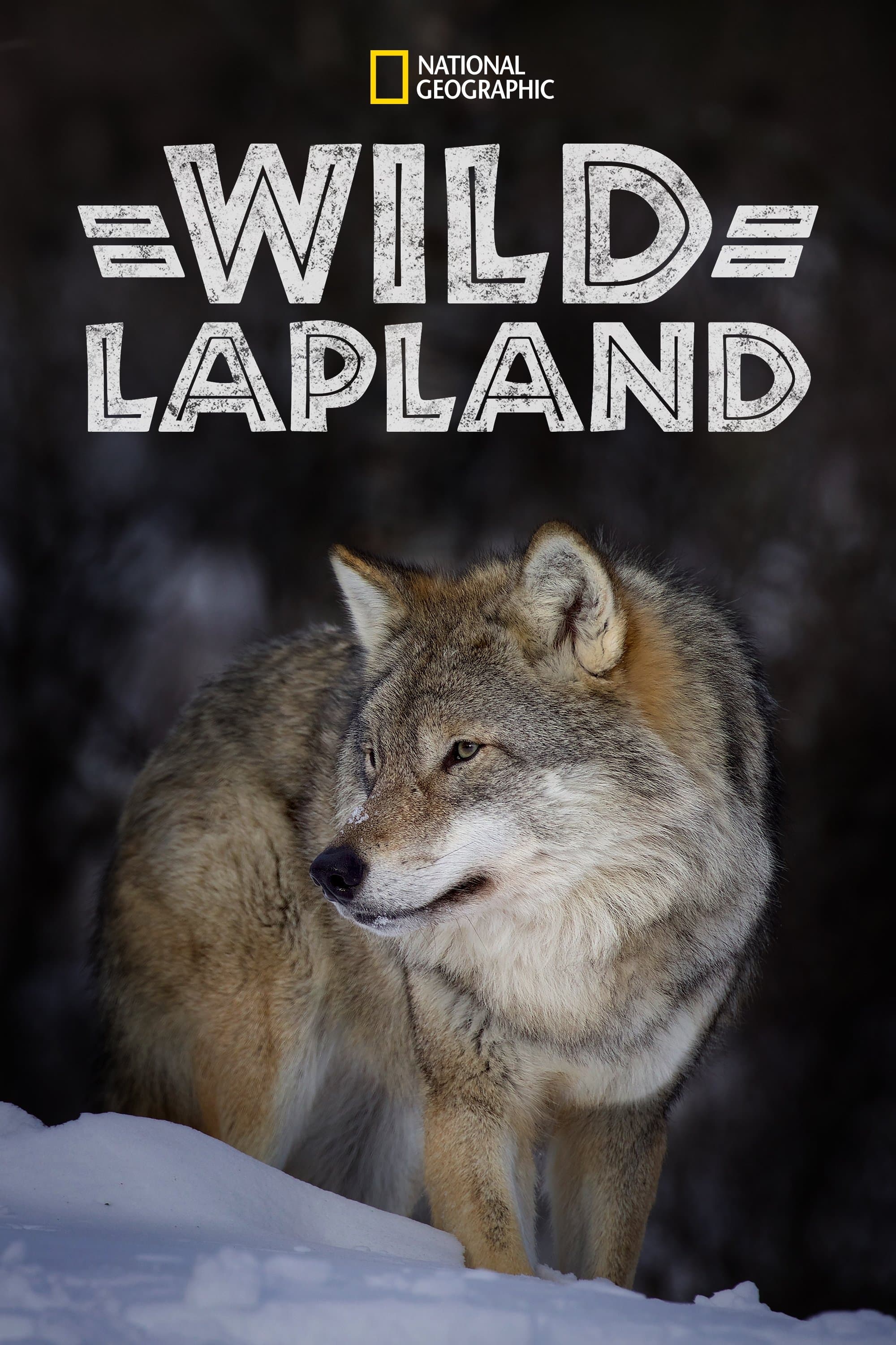 Poster Wild Lapland