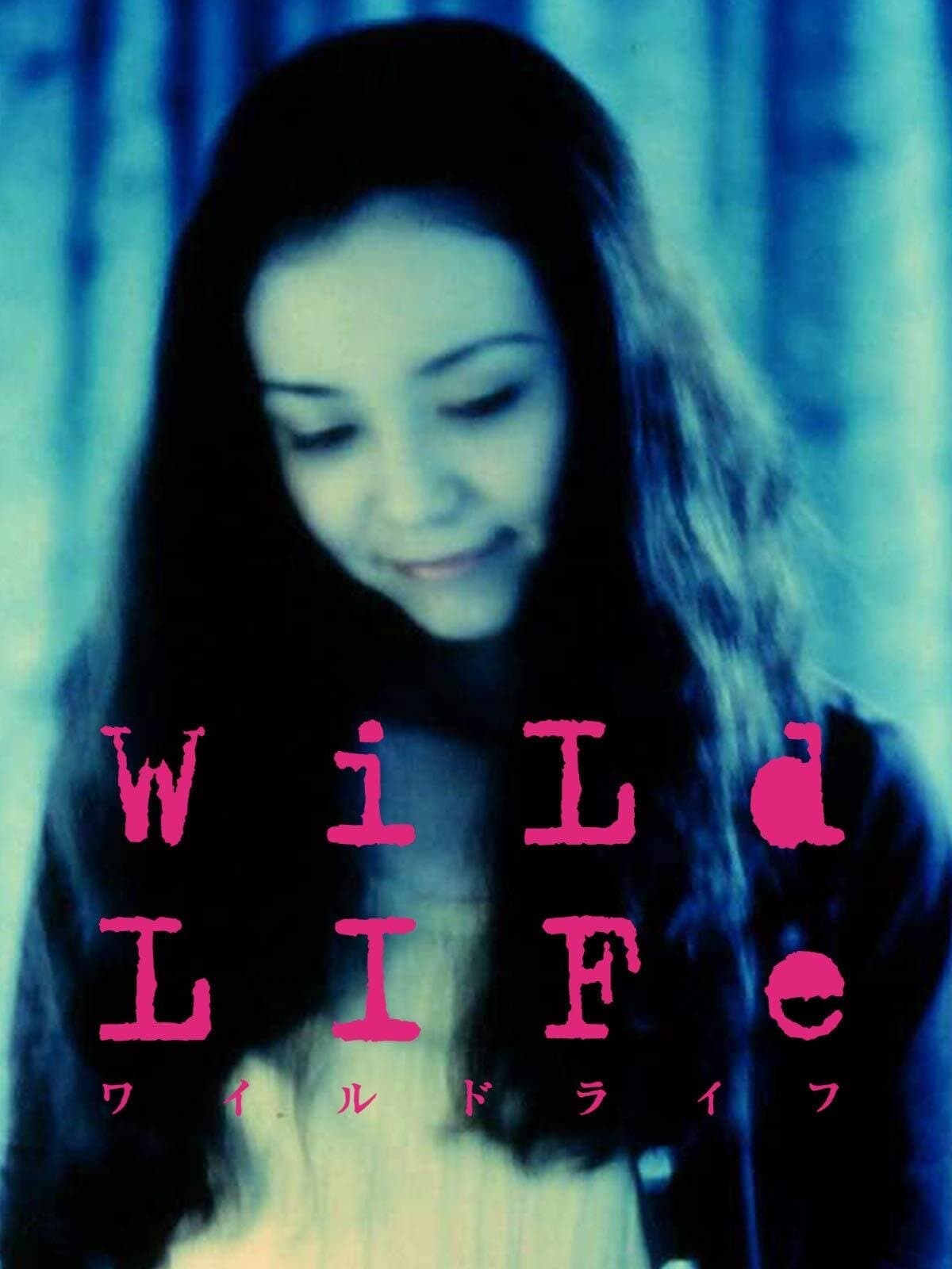 Poster Wild Life