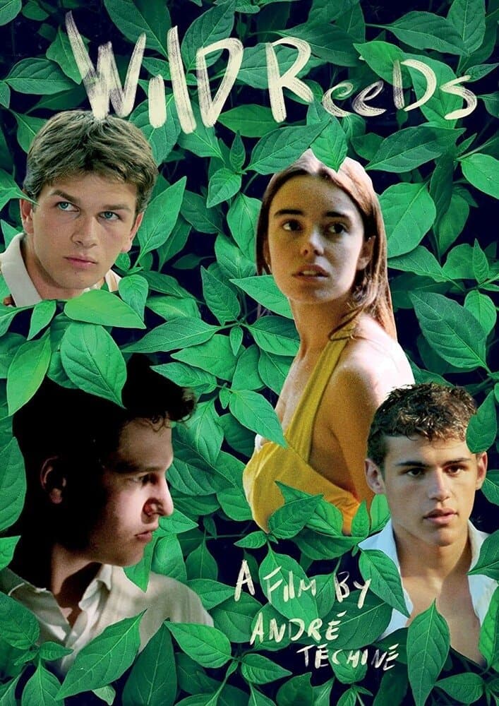 Poster Wild Reeds