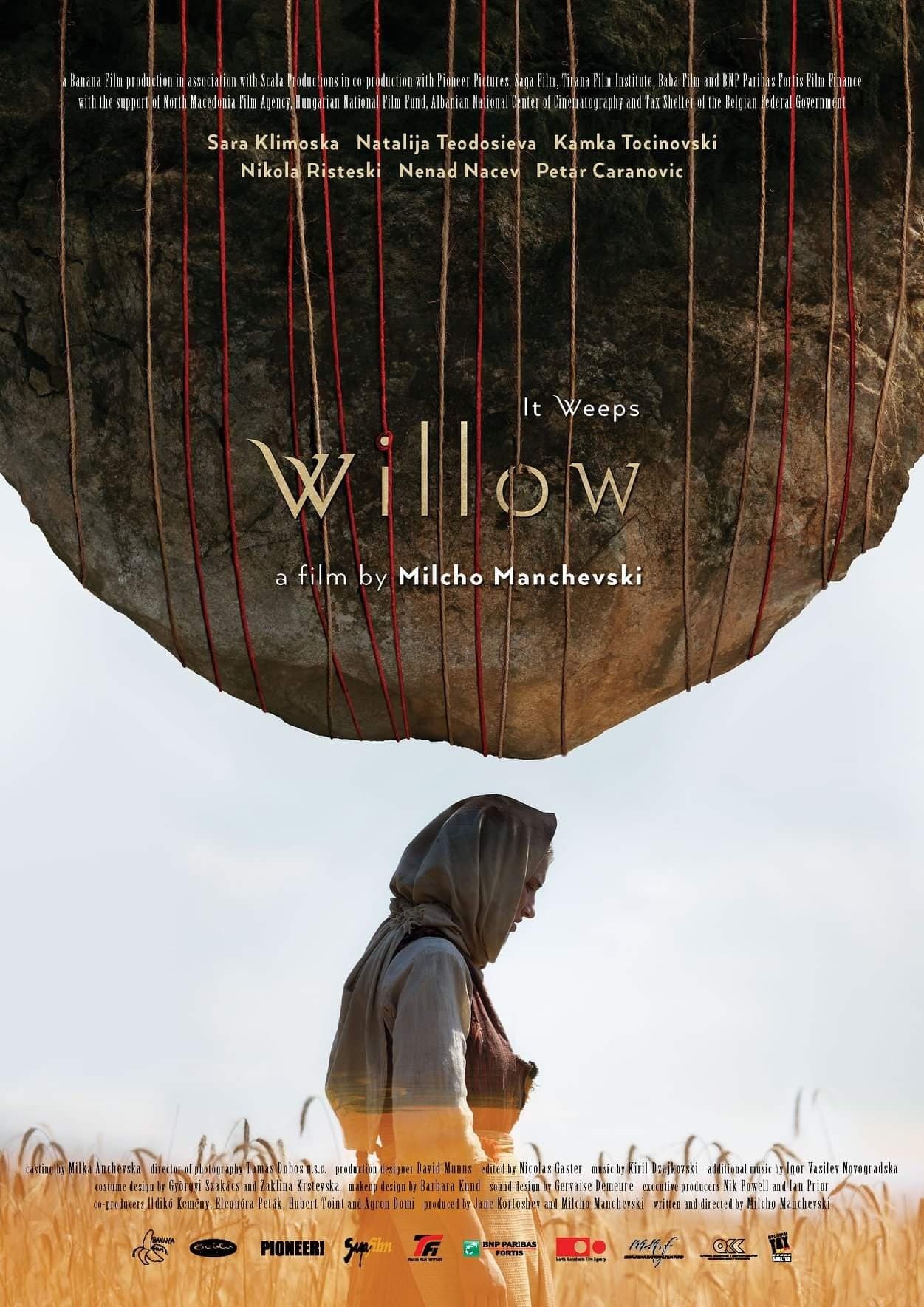 Poster Willow